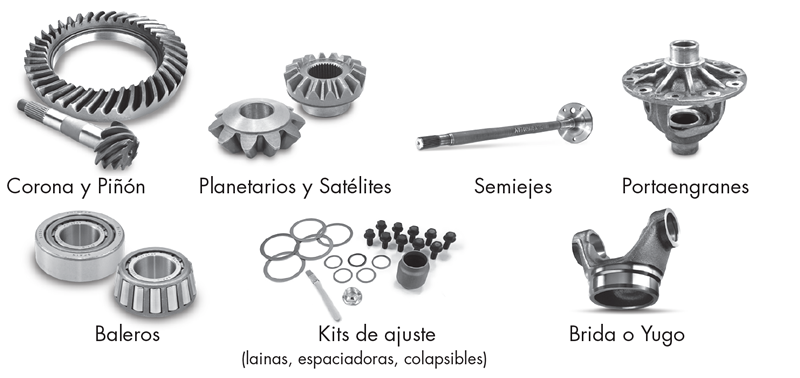 Partes del diferencial